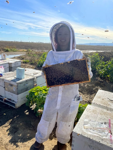 PhD candidate Angela M. Encerrado in a beekeeping suit during almond pollination season 2023 in California. [In the picture Angela is holding a brood frame to collect nurse bees and brood from a hive that had been actively pollinating almond orchards] Pho